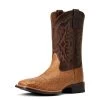 Ariat Men's Boots - Night Life Ultra Western - Ranger Smooth Quill