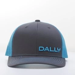 Dally Up Charcoal And Blue Logo Text Cap