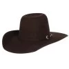 Resistol Pay Window JR Kid's Brown Felt Cowboy Hat